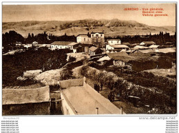 CPA  (Réf : I450) JERICHO (ASIE ISRAEL) Vue Générale - Israele