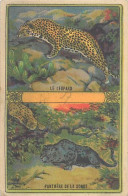 A LA MENAGERE. CAMBRAI. CHROMO CHICOREE. LE LEOPARD. - Tea & Coffee Manufacturers