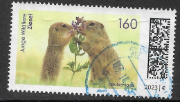 2023  Junge Wildtiere  (Ziesel) - Used Stamps