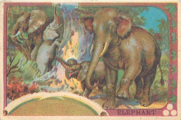 A LA MENAGERE. CAMBRAI. CHROMO CHICOREE. L'ELEPHANT. - Tea & Coffee Manufacturers