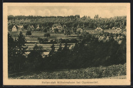 AK Oppenweiler, Heilanstalt Wilhelmsheim Mit Umgebung Aus Der Vogelschau  - Other & Unclassified