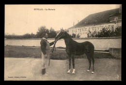 55 - EUVILLE - LA MALTERIE - CHEVAL - EDITEUR RENAUD - Sonstige & Ohne Zuordnung