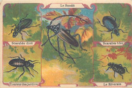 A LA MENAGERE. CAMBRAI. CHROMO CHICOREE. LES SCARABEES. DORE, BLEU, COUREUR DES JARDINS, RIVERIN. - Tea & Coffee Manufacturers