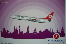 Avion / Airplane /  Turkish Airlines / Boeing B737-800 / Airline Issue - 1946-....: Moderne