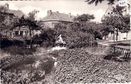 Malo Les Bains Dunkerque : Parc Malo N° 401 De TOP  ( Noire Brillante , Nayade - Malo Les Bains