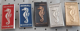 SeaHorse Aquarium Maribor Seahorse Slovenia 5 Different Pins - Animaux