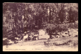 ALGERIE - BUGEAUD - LE LAVOIR DU CURE - Otros & Sin Clasificación