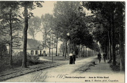 Heide-Calmpthout Aan De Witte Hoef Circulée En 1915 - Kalmthout