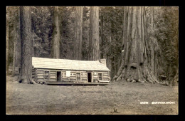 ETATS-UNIS - YOSEMITE PARK  - Andere & Zonder Classificatie