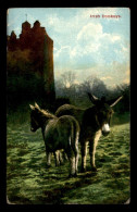 IRLANDE - IRISH DONKEYS  - Other & Unclassified