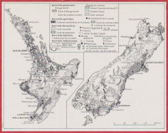 Nouvelle Zélande. Carte économique. Activités Pastorales, Agricoles, Forestière, Minières, Industrielles. Larousse 1960. - Documents Historiques