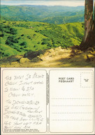 Postcard Südafrika VALLEY OF A THOUSAND HILLS, Natal, South Africa 1970 - Sud Africa