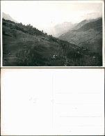 Foto  Alm Österreich 1933 Privatfoto - Zu Identifizieren