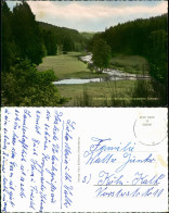 Ansichtskarte Heimborn Nistertal Bei Heimborn, Kroppacher Schweiz 1960 - Other & Unclassified