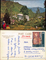 Sri Lanka (Ceylon) TEA FACTORY AND ESTATE NEAR NUWARA ELIYA 1976 - Unclassified