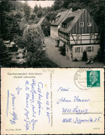 Kleinhennersdorf-Gohrisch (Sächs. Schweiz) Waldidyll Liethenmühle 1965 - Kleinhennersdorf