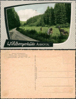 Ansichtskarte Wildbergerhütte AUBACHTAL, Weg - Rehe 1963 - Other & Unclassified