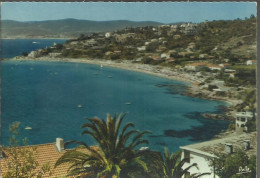 Les Environs Du Lavandou - Saint-Clair - Vue Générale Sur La Plage - (P) - Other & Unclassified