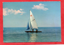 Petit DERIVEUR En Plastique 4 Mètres Marin Voilier - N° écrit Sur La Voile F  114 B Impeccable Année 1987 EDIT DI MARIO - Sailing