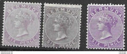 RARE The Three Colours/perfs Bermuda Mh * Lilac And Purple 1257 Euros 1874 , 1865 And 1903 Respectively - Autres & Non Classés