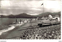 66 ARGELES SUR MER La Plage Les Gros Pédalos Numérotés Chien éditions Scheitler Lucien Albi La Côte Vermeille N°2680 - Argeles Sur Mer