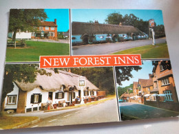 New Forest Inns,Hampshire.A Salmon Camera Colour Postcard.#50. - Otros & Sin Clasificación