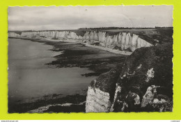 76 YPORT N°382 Les Falaises D'amont Et La Falaise D'aval En 1951 La Cigogne - Yport