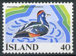 ISLANDIA 1977 - ICELAND - FAUNA - PATO - AVES - YVERT 477** - Nuevos