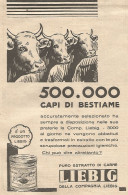 Estratto Di Carne LIEBIG - 500.000 Capi Di Bestiame - Pubblicità Del 1931 - Werbung