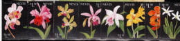 Nevis  Fleurs Flowers  Orchids Orchidées MNH - Orchideeën
