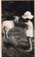 Photo Vintage Paris Snap Shop -enfant Child Chèvre Animal - Other & Unclassified