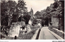 AGKP2-0109-61 - DOMFRONT - Entrée Du Parc Du Chateau  - Domfront