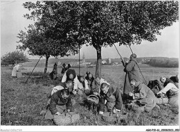 AGKP10-0837-61 - ABBAYE DE LA GRANDE TRAPPE - SOULIGNY-LA-TRAPPE - Travail Communautaire - Ramassage Des Pommes  - Other & Unclassified