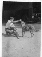Photo Vintage Paris Snap Shop -homme Men Chien Dog Vierzon - Other & Unclassified