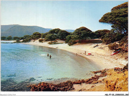 AGLP7-0492-20 - CORSE - Oasis De Beaute - Plage De PALOMBJA - Ajaccio