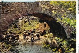 AGLP6-0393-20 - Promenade A Cheval - Halte - Sous Le Pont Genois Pour Se Desalterer - Ajaccio