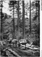 AGLP5-0328-20 - FORET DE VIZZAVONA - Chemin Des Ponts - Altri & Non Classificati