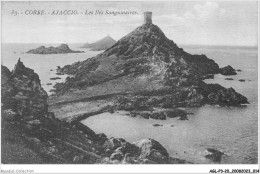 AGLP3-0188-20 - CORSE - AJACCIO - Les Iles Sanguinaires - Ajaccio