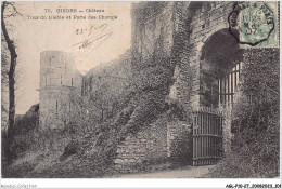 AGLP10-0749-27 - GISORS - Chateau - Tour Du Diable Et Porte Des Champs - Gisors