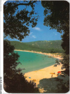 AGLP8-0572-20 - PANORAMA DE LA CORSE - LE GOLFE D'AJACCIO - La Plage De Verghia - Tres Appreciee - Ajaccio