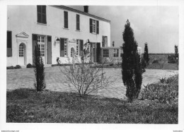 NIEUL SUR MER LA PREE AUX BOEUFS CARTE PHOTO GD FORMAT R1 - Andere & Zonder Classificatie