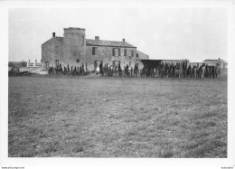 NIEUL SUR MER LA PREE AUX BOEUFS CARTE PHOTO GD FORMAT - Andere & Zonder Classificatie