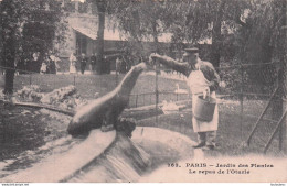 PARIS  JARDIN DES PLANTES LE REPAS DE L'OTARIE - Parks, Gärten