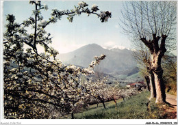 AGMP6-0493-66 - ROUSSILLON - Le Massif Du Canigou Au Printemps  - Sonstige & Ohne Zuordnung