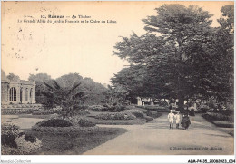 AGMP4-0268-35 - RENNES - Au Thabor - La Grande Allée Du Jardin Français Et Le Cèdre Du Liban  - Rennes