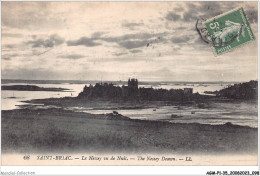 AGMP1-0050-35 - SAINT-BRIAC - Le Nessey Vu De Nuit  - Saint-Briac