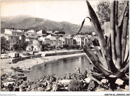 AGMP10-0700-66 - COLLIOURE - Un Coin De La Plage Et Du Faubourg  - Collioure