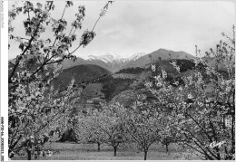 AGMP10-0695-66 - LE ROUSSILLON - Massif Du Canigou - Printemps En Vallespir  - Roussillon