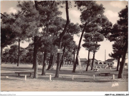 AGMP7-0549-66 - ARGELES-SUR-MER - La Foret De Pins Au Bord De La Plage  - Argeles Sur Mer