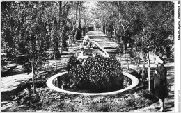 AGRP6-0465-ALGERIE - STIF - Jardin D'orléans - La Grande Allée Et Statue D'aris - Chlef (Orléansville)